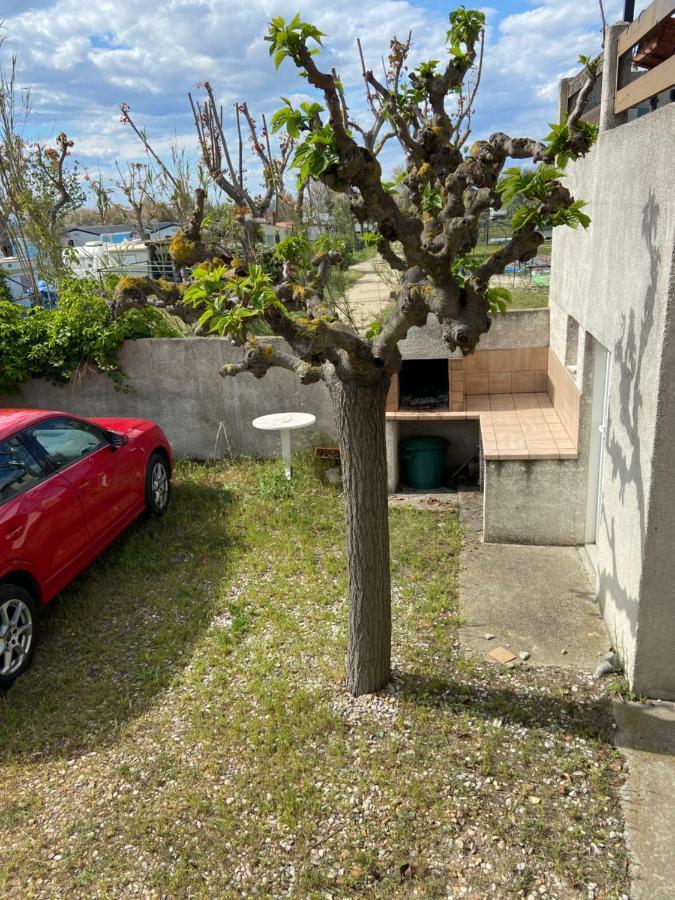 Appt Avec Parking, Clim, Wifi A 50 M De La Plage Palavas-les-Flots Exteriör bild